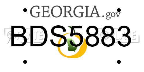 BDS5883 Georgia License Plate