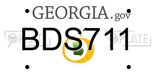 BDS711 Georgia License Plate
