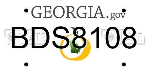 BDS8108 Georgia License Plate