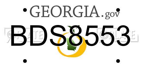 BDS8553 Georgia License Plate