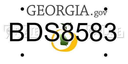 BDS8583 Georgia License Plate