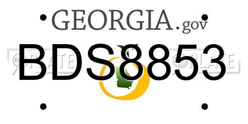 BDS8853 Georgia License Plate