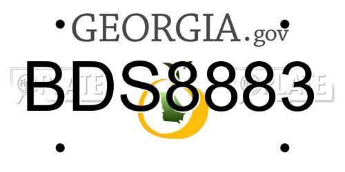 BDS8883 Georgia License Plate