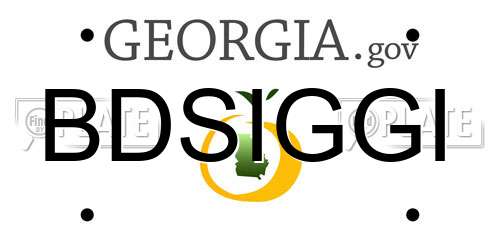 BDSIGGI Georgia License Plate