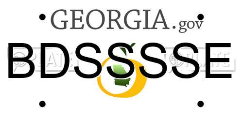 BDSSSSE Georgia License Plate
