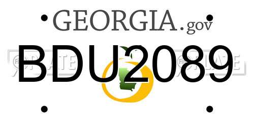 BDU2089 Georgia License Plate
