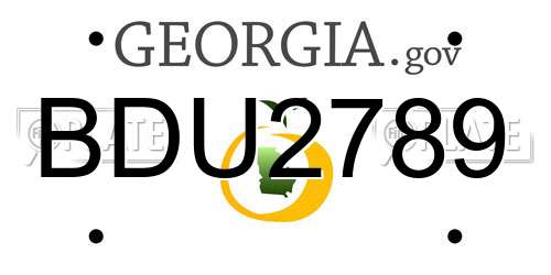 BDU2789 Georgia License Plate