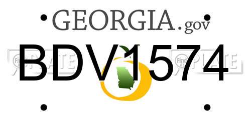 BDV1574 Georgia License Plate