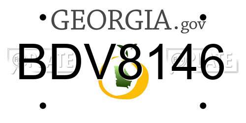 BDV8146 Georgia License Plate
