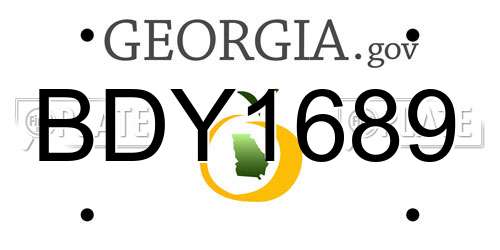 BDY1689 Georgia License Plate