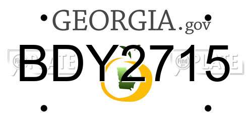 BDY2715 Georgia License Plate