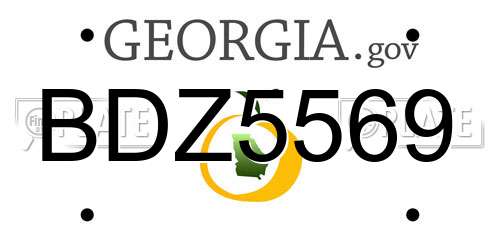 BDZ5569 Georgia License Plate