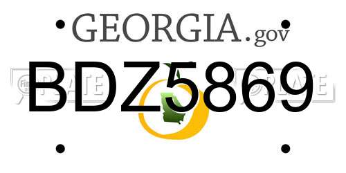 BDZ5869 Georgia License Plate