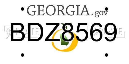 BDZ8569 Georgia License Plate