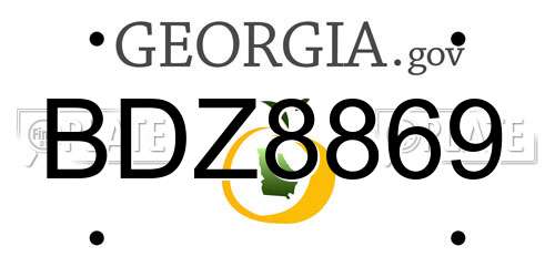 BDZ8869 Georgia License Plate