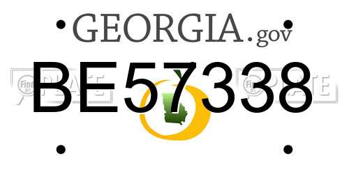 BE57338 Georgia License Plate