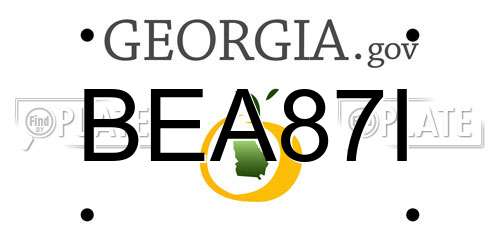 BEA87I Georgia License Plate