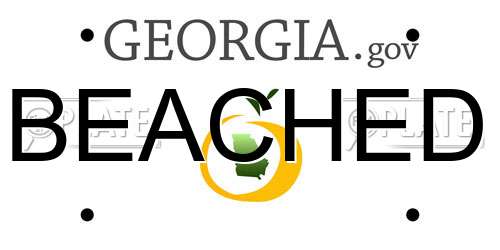 BEACHED Georgia License Plate
