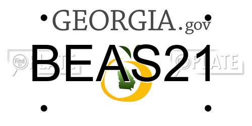 BEAS21 Georgia License Plate