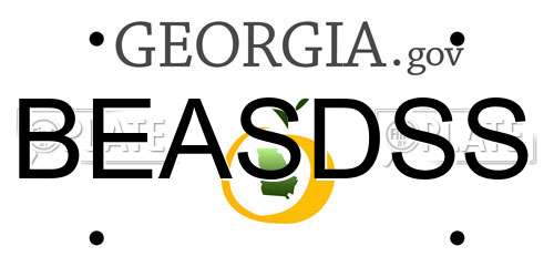 BEASDSS Georgia License Plate