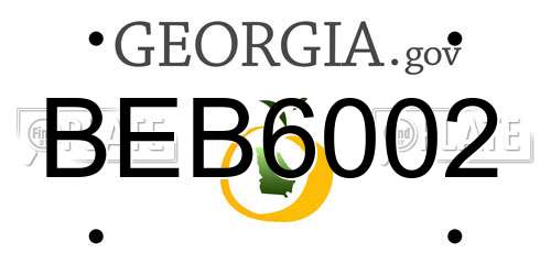 BEB6002 Georgia License Plate