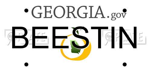 BEESTIN Georgia License Plate