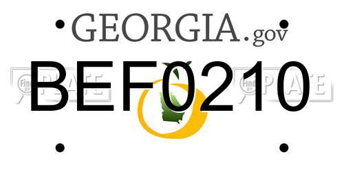 BEF0210 Georgia License Plate