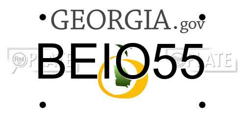 BEIO55 Georgia License Plate