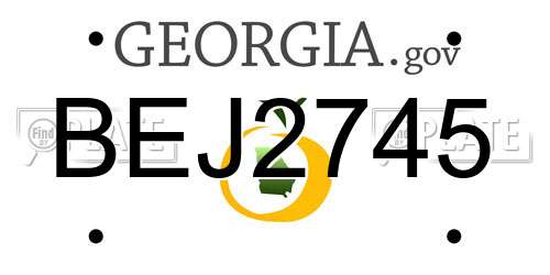 BEJ2745 Georgia License Plate