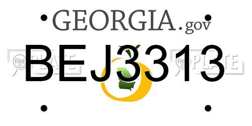 BEJ3313 Georgia License Plate