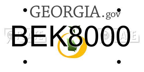 BEK8000 Georgia License Plate