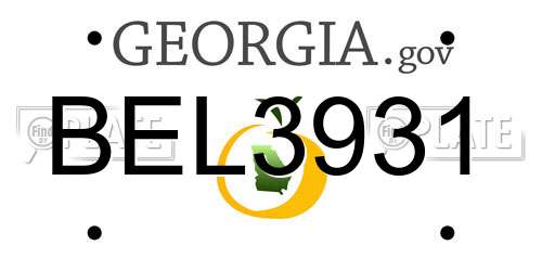 BEL3931 Georgia License Plate