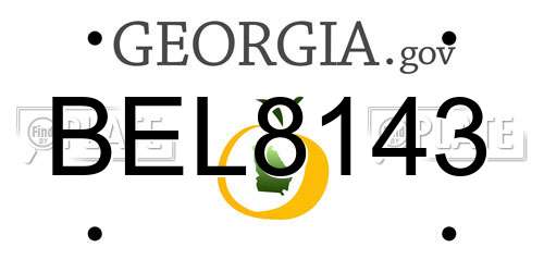 BEL8143 Georgia License Plate