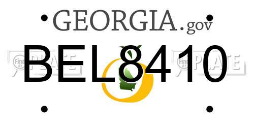 BEL8410 Georgia License Plate