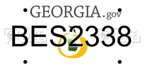 BES2338 Georgia License Plate