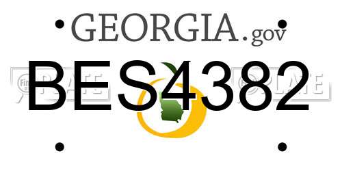 BES4382 Georgia License Plate