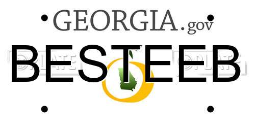 BESTEEB Georgia License Plate