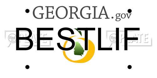BESTLIF Georgia License Plate