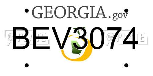 BEV3074 Georgia License Plate
