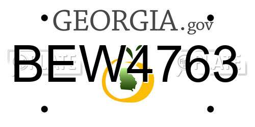 BEW4763 Georgia License Plate