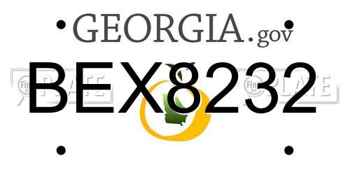 BEX8232 Georgia License Plate