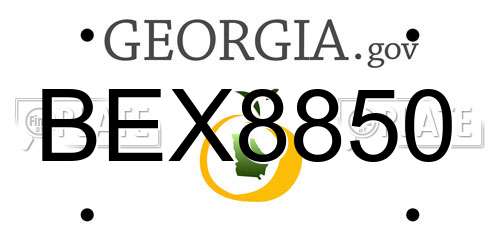 BEX8850 Georgia License Plate