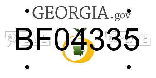 BF04335 Georgia License Plate