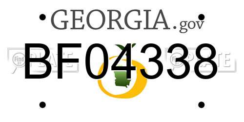 BF04338 Georgia License Plate