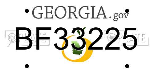 BF33225 Georgia License Plate