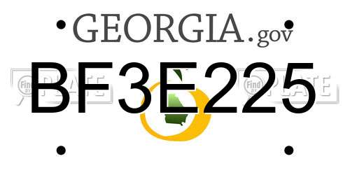 BF3E225 Georgia License Plate