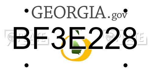 BF3E228 Georgia License Plate