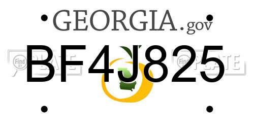 BF4J825 Georgia License Plate
