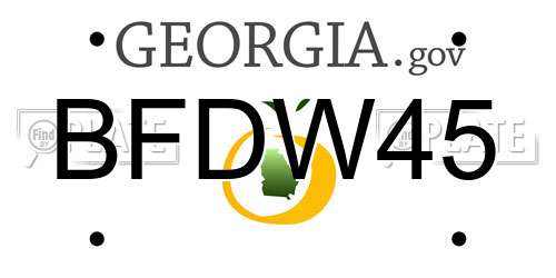 BFDW45 Georgia License Plate