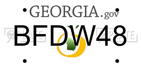 BFDW48 Georgia License Plate